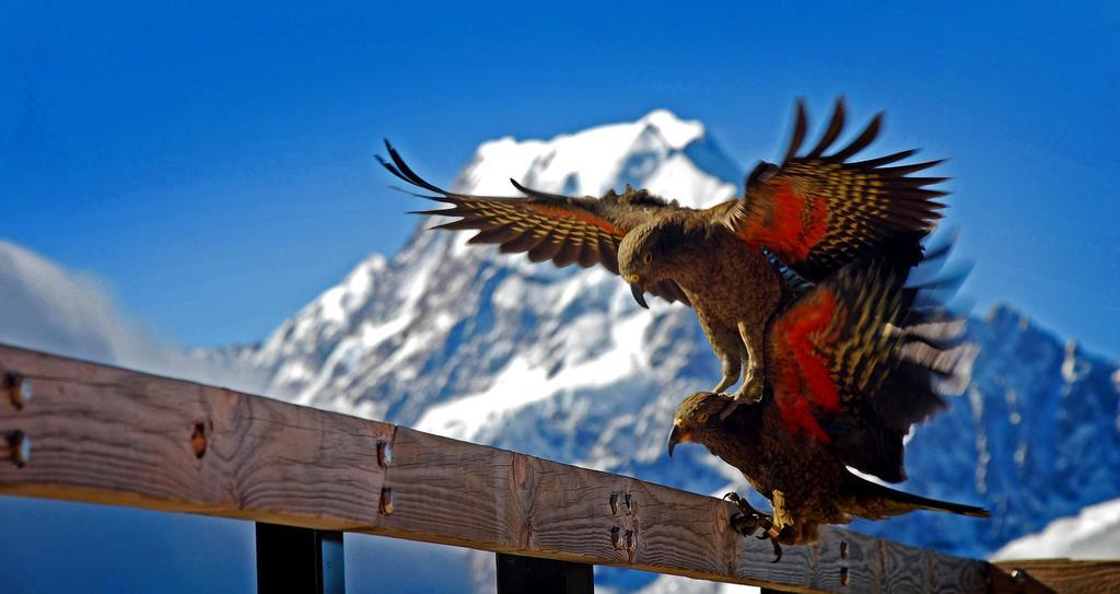 Hotel Glentanner Park Centre Aoraki / Mount Cook Exteriér fotografie